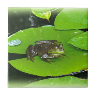 Azulejo De Cerámica Rana toro en Lilypads
