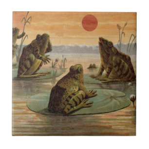 Azulejo De Cerámica Ranas Lily Pads Moon Ilustracion