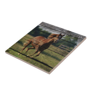 Azulejo De Cerámica Rancho del campo de Woodgrain de Barn Galloping Ca