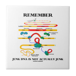 Azulejo De Cerámica Recuerde que DNA de los desperdicios no son