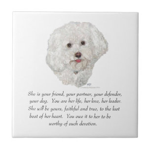 Azulejo De Cerámica Recuerdo de Bichon Frise HEMBRA