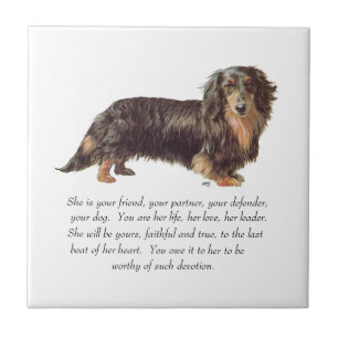 Azulejo De Cerámica Recuerdo de Dachshund - Hembra