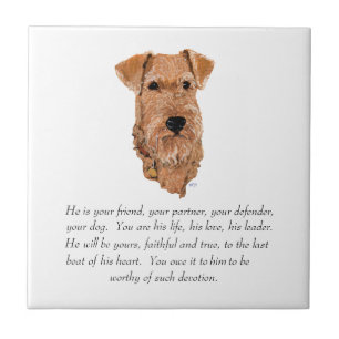 Azulejo De Cerámica Recuerdo de Terrier Irlandés - Macho
