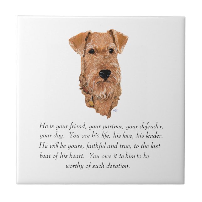 Azulejo De Cerámica Recuerdo de Terrier Irlandés - Macho (Frente)