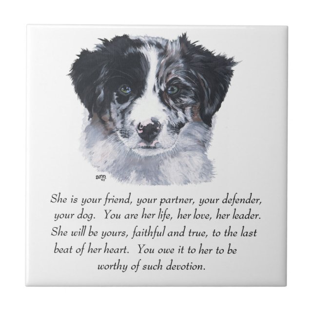 Azulejo De Cerámica Recuerdos de Border Collie (Frente)