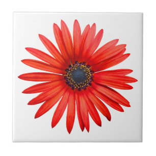 Azulejo De Cerámica Red Devil