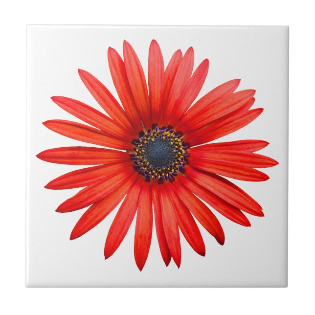 Azulejo De Cerámica Red Devil (Frente)