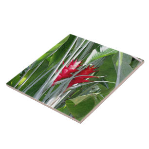 Azulejo De Cerámica Red Ginger