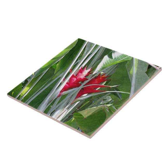 Azulejo De Cerámica Red Ginger