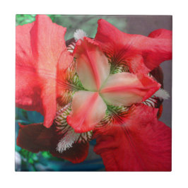 Azulejo De Cerámica Red Iris Tile