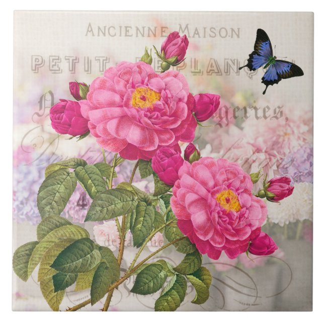 Azulejo De Cerámica Redoblar mosaico de cerámica de rosas rosadas fran (Frente)