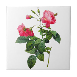 Azulejo De Cerámica Redoblar Rosas