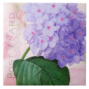 Azulejo De Cerámica Redoute French Purple Hydrangea Ceramic Tile