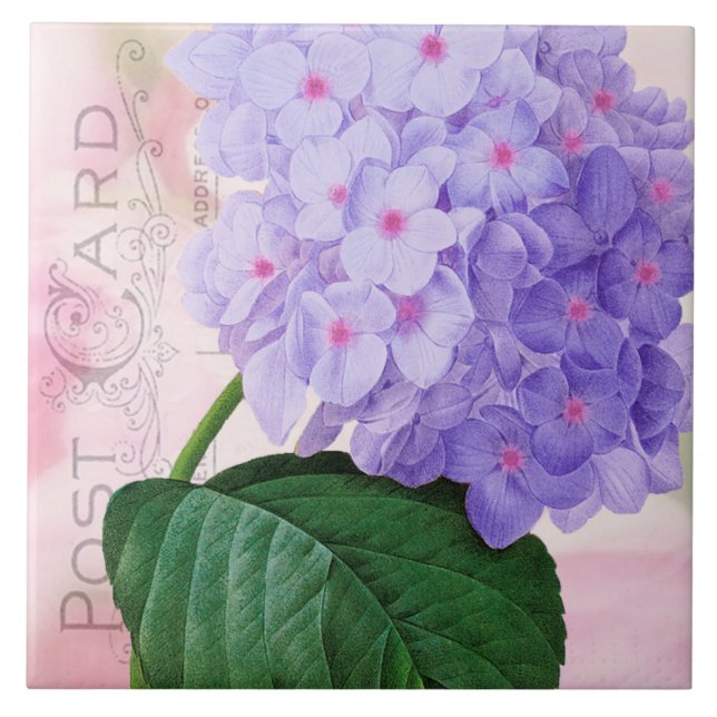 Azulejo De Cerámica Redoute French Purple Hydrangea Ceramic Tile (Frente)