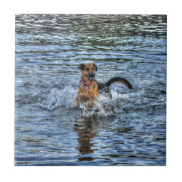 Azulejo De Cerámica Regalo de amante de los pastores alsacianos