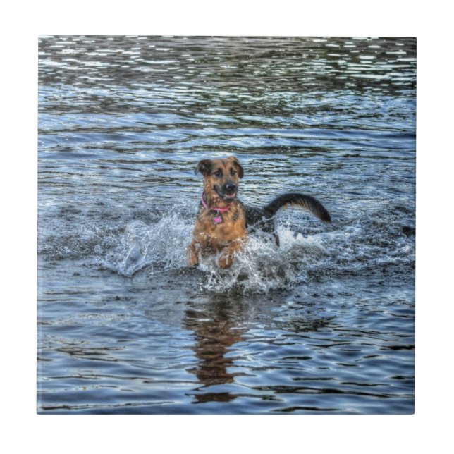Azulejo De Cerámica Regalo de amante de los pastores alsacianos (Frente)