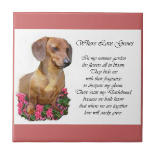 Azulejo De Cerámica Regalos de arte de Dachshund