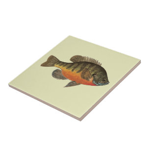 Azulejo De Cerámica Resplandor azul