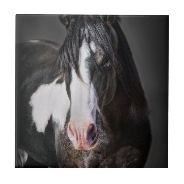 Azulejo De Cerámica Retrato de caballo II (Frente)