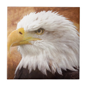 Azulejo De Cerámica Retrato de Eagle calvo