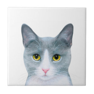 Azulejo De Cerámica Retrato de gato gris 611