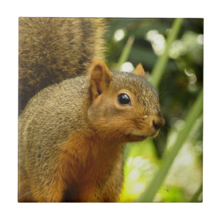 Azulejo De Cerámica Retrato de una fotografía animal de la naturaleza
