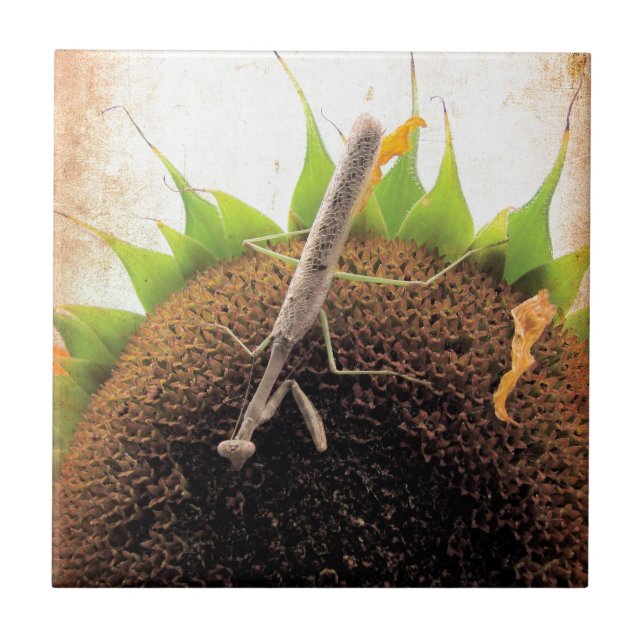 Azulejo De Cerámica Rezando Por El Sol (Frente)