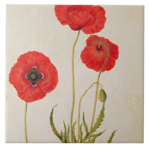 Azulejo De Cerámica Rhoeas de Papavar, c.1568