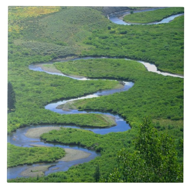 Azulejo De Cerámica Río Este cerca de la ciudad de Crested Butte. (Frente)