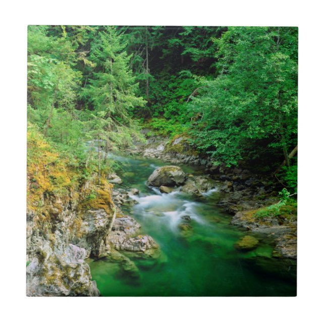Azulejo De Cerámica Río Little Qualicum (Frente)