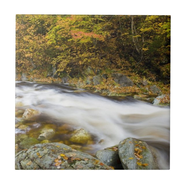 Azulejo De Cerámica Roaring Brook en otoño en Vermont's Green (Frente)