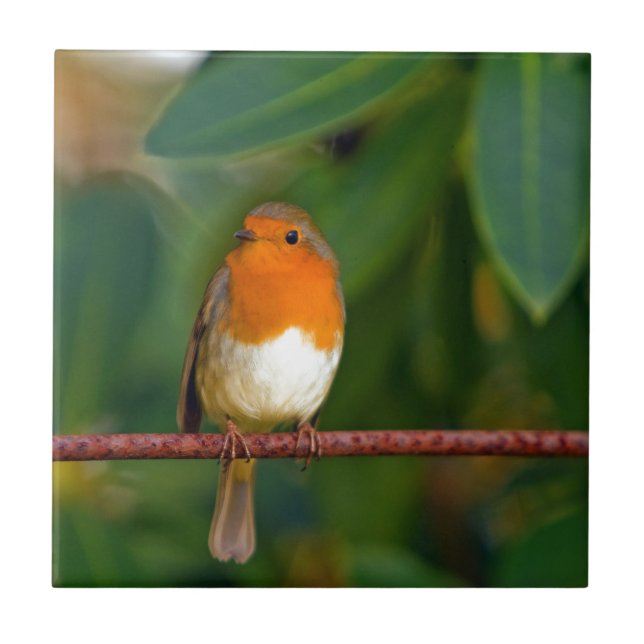 Azulejo De Cerámica Robin navidades (Frente)