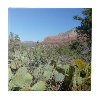 Azulejo De Cerámica Rocas rojas y cactus I
