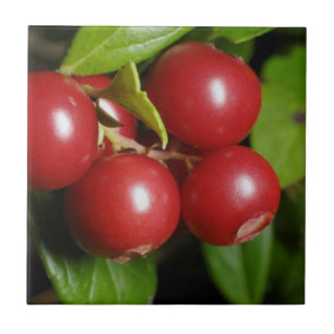 Azulejo De Cerámica Rojo carmesí