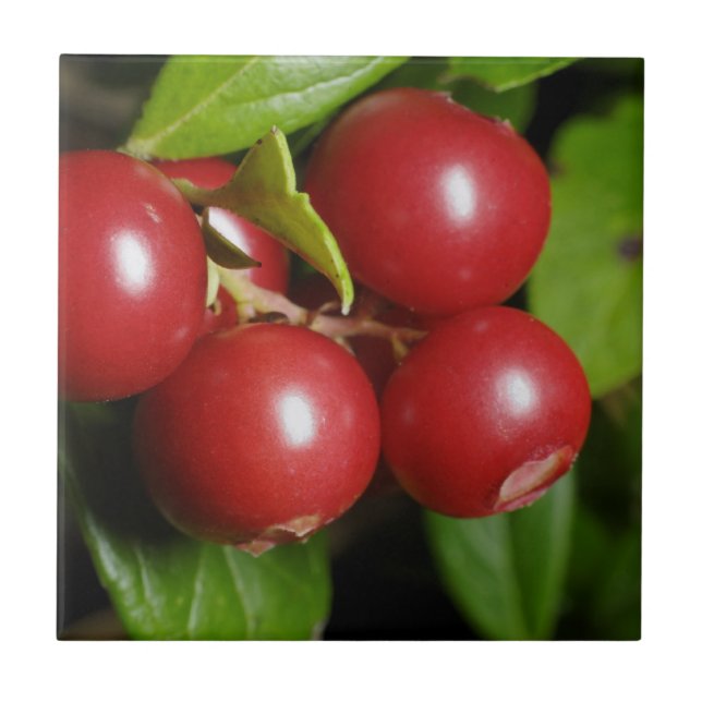 Azulejo De Cerámica Rojo carmesí (Frente)