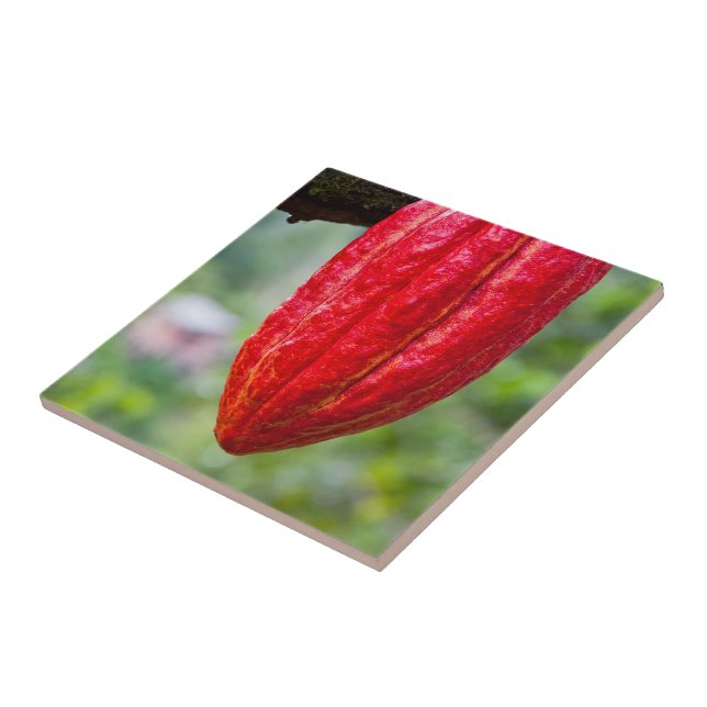 Azulejo De Cerámica rojo de la vaina de cacao (Lado)