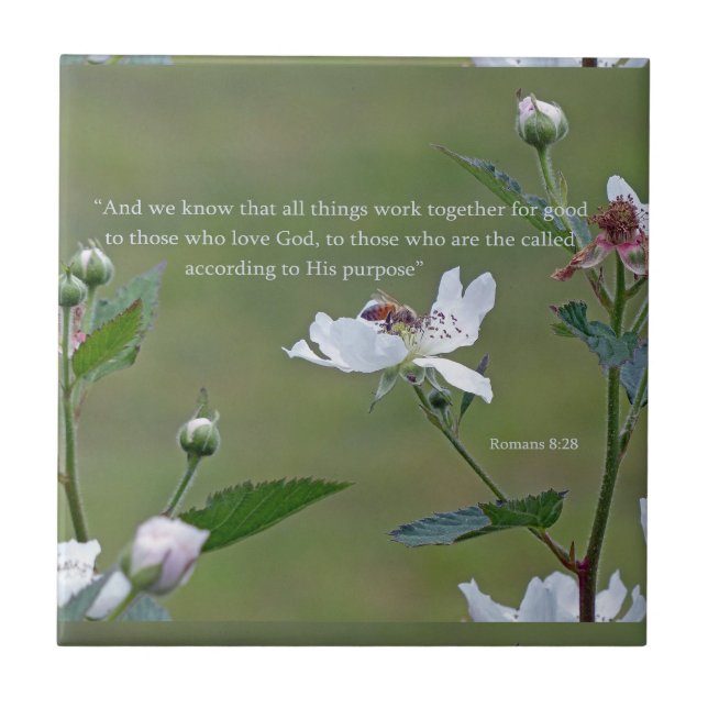 Azulejo De Cerámica Romanos 8:28 (Frente)