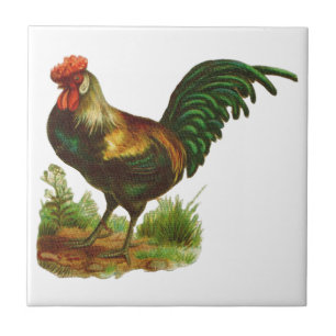 Azulejo De Cerámica Rooster