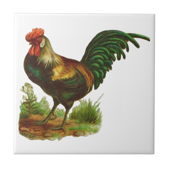 Azulejo De Cerámica Rooster (Frente)