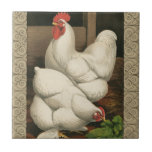 Azulejo De Cerámica Roosters & Hen afuera de la Casa Hen con la fronte<br><div class="desc">Impresión de arte rústico con un vigoroso gallo y una gallina en una gallina. El borde de darc cruz es un patrón que consta de elementos espirales. Esta impresión sería una gran adición a la decoración rural de una casa de campo.</div>