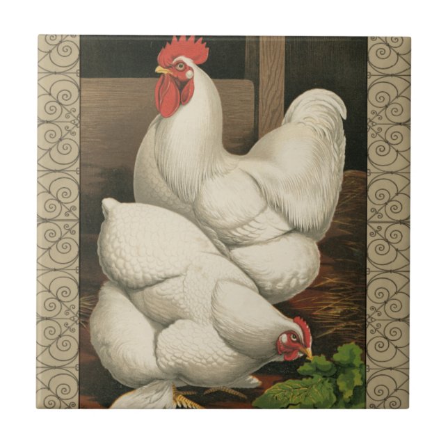 Azulejo De Cerámica Roosters & Hen afuera de la Casa Hen con la fronte (Frente)