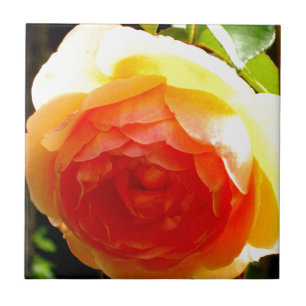 Azulejo De Cerámica Rosa amarilla