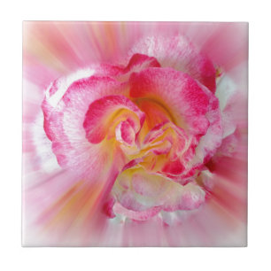 Azulejo De Cerámica Rosa amarilla rosa