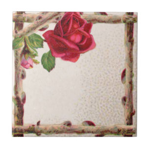 Azulejo De Cerámica Rosa antigua vintage rústica victoriana clásica an