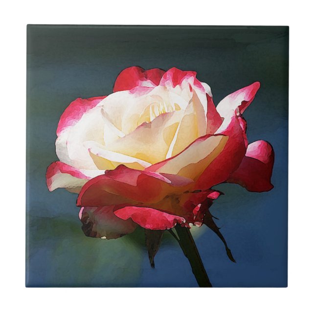 Azulejo De Cerámica Rosa de té híbrido del "placer doble" (Frente)