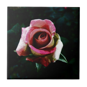 Azulejo De Cerámica Rosa Pintada al Óleo