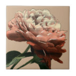 Azulejo De Cerámica Rosa roja de rubí con acentos blancos<br><div class="desc">Esta rosa roja rubí,  original de Chariklia Zarris,  se extiende hacia una luz que ilumina sus pétalos. ¿Es el sol brillando en el rosa,  o una luz artificial? ¡Una gran pieza con la que comenzar tu colección de arte!</div>