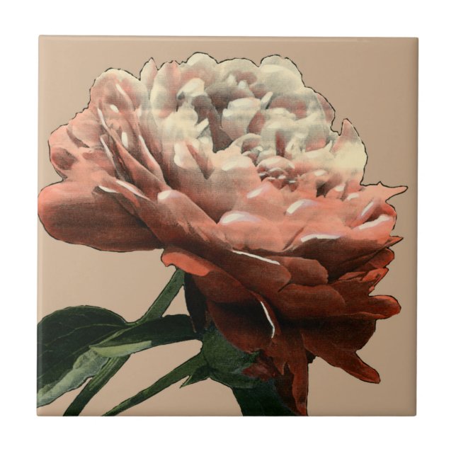 Azulejo De Cerámica Rosa roja de rubí con acentos blancos (Frente)