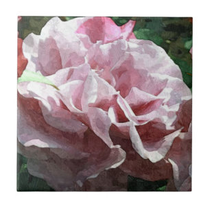 Azulejo De Cerámica Rosa rosa