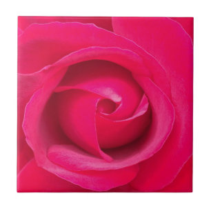 Azulejo De Cerámica Rosa Rosa Roja Romántica
